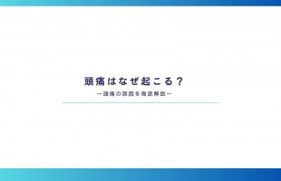 青　白　シンプル　ビジネス　営業資料　サービスの提案書　プレゼンテーション　
