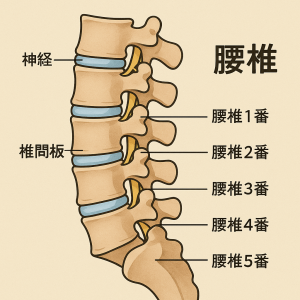 4E32CA0F-3346-422C-823C-894B3F6BE8F5