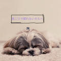 肩こりで眠れないかたへ
