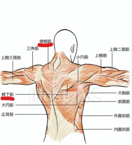 スクリーンショット_17-11-2025_12758_www.ac-illust.com