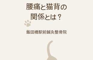 ベージュ　猫　イラスト　かわいい　お知らせ　インスタグラムの投稿(45)